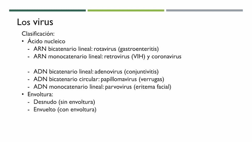 MICROBIOLOGÍA
UNIDAD 2 DE BIOLOGÍA 1º BACH Los virus
No son seres vivos: carecen de células y no cumplen las 3 f. vitales. No tienen
activid