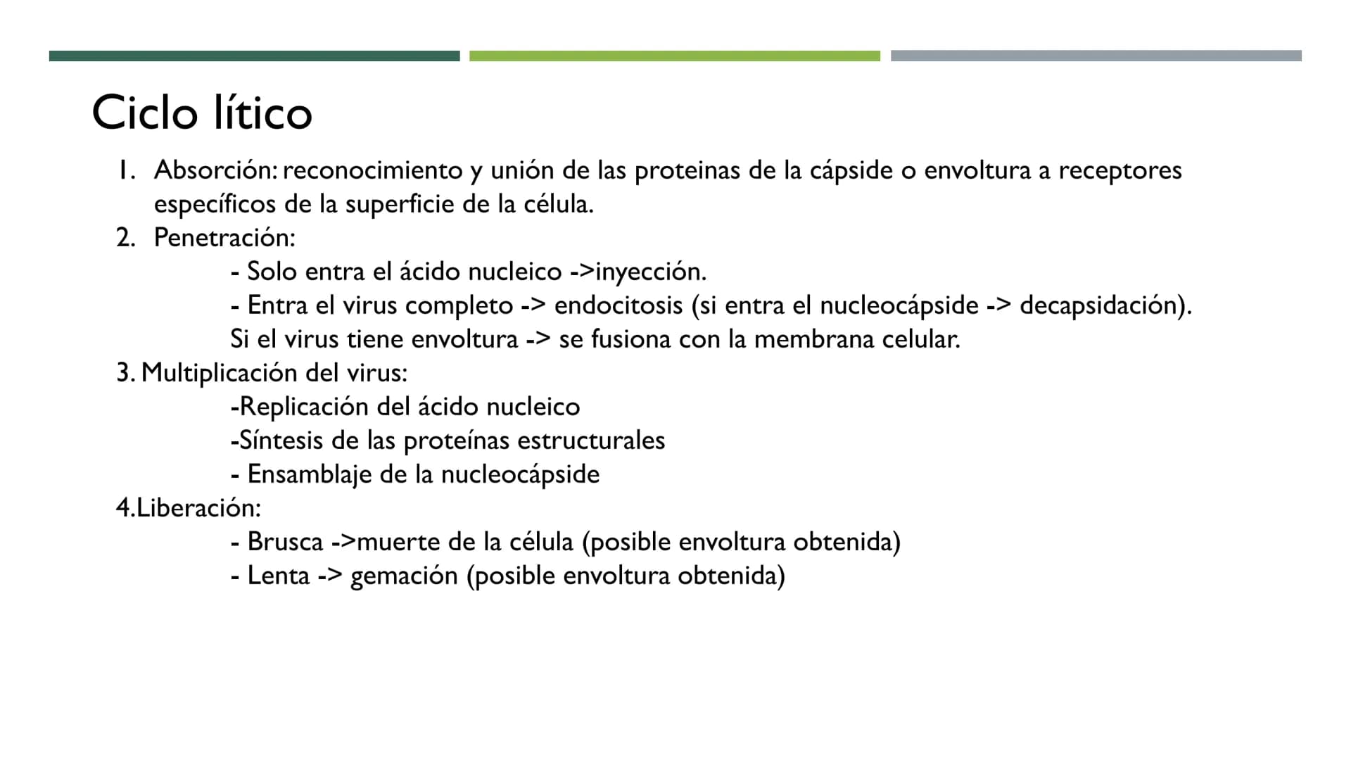MICROBIOLOGÍA
UNIDAD 2 DE BIOLOGÍA 1º BACH Los virus
No son seres vivos: carecen de células y no cumplen las 3 f. vitales. No tienen
activid