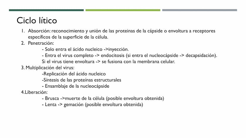 MICROBIOLOGÍA
UNIDAD 2 DE BIOLOGÍA 1º BACH Los virus
No son seres vivos: carecen de células y no cumplen las 3 f. vitales. No tienen
activid