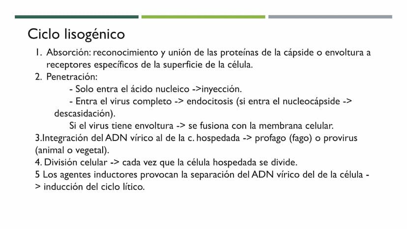 MICROBIOLOGÍA
UNIDAD 2 DE BIOLOGÍA 1º BACH Los virus
No son seres vivos: carecen de células y no cumplen las 3 f. vitales. No tienen
activid