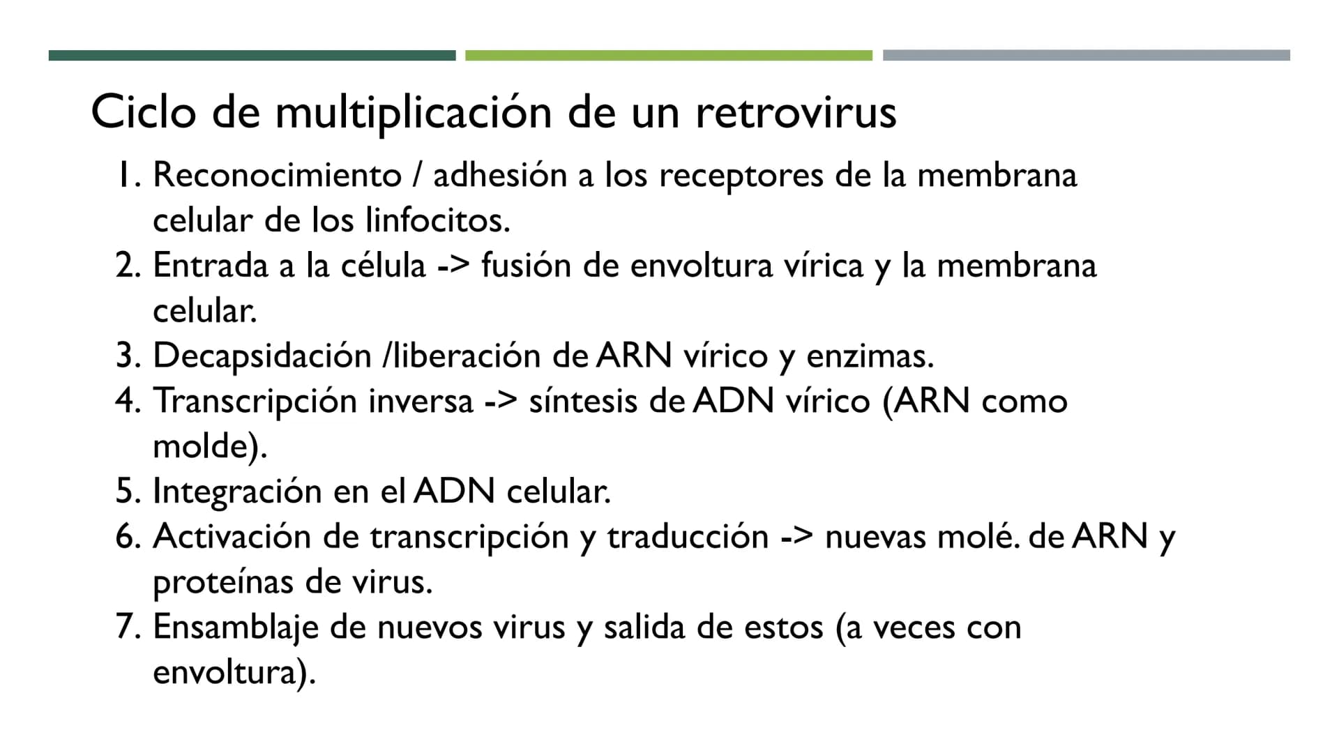 MICROBIOLOGÍA
UNIDAD 2 DE BIOLOGÍA 1º BACH Los virus
No son seres vivos: carecen de células y no cumplen las 3 f. vitales. No tienen
activid