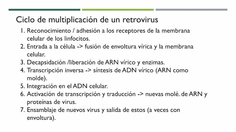 MICROBIOLOGÍA
UNIDAD 2 DE BIOLOGÍA 1º BACH Los virus
No son seres vivos: carecen de células y no cumplen las 3 f. vitales. No tienen
activid