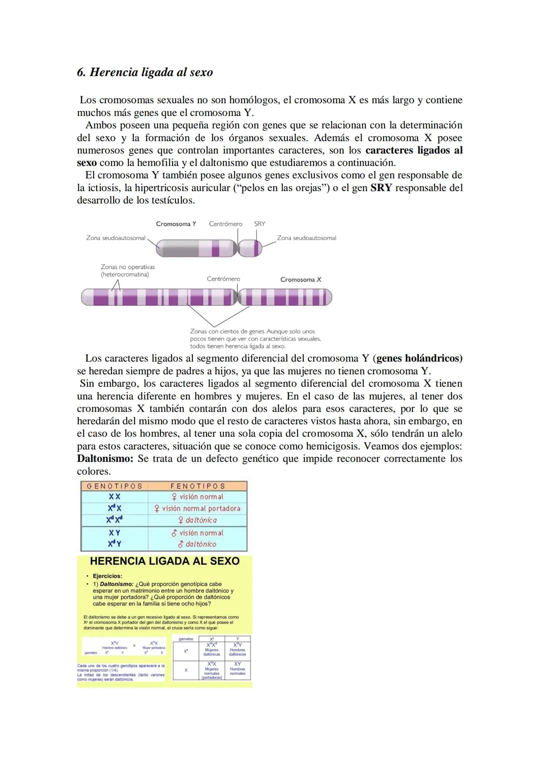 TEMA 15 GENÉTICA MENDELIANA
- Leyes de Mendel. Uniformidad de la primera generación filial resultante del
cruzamiento de líneas puras. Ley d