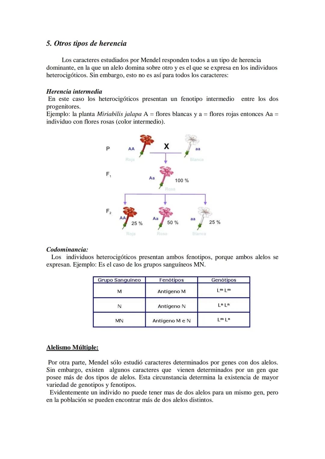 TEMA 15 GENÉTICA MENDELIANA
- Leyes de Mendel. Uniformidad de la primera generación filial resultante del
cruzamiento de líneas puras. Ley d