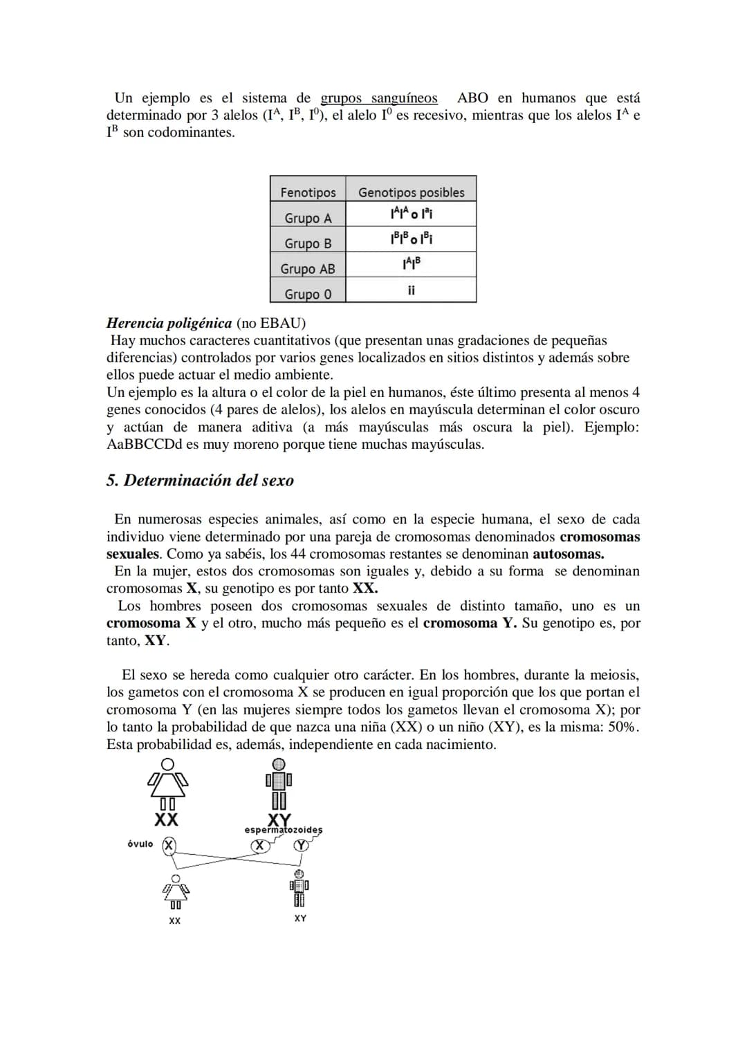 TEMA 15 GENÉTICA MENDELIANA
- Leyes de Mendel. Uniformidad de la primera generación filial resultante del
cruzamiento de líneas puras. Ley d