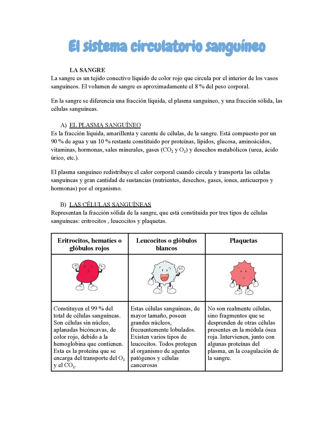 Sistema circulatorio sanguíneo