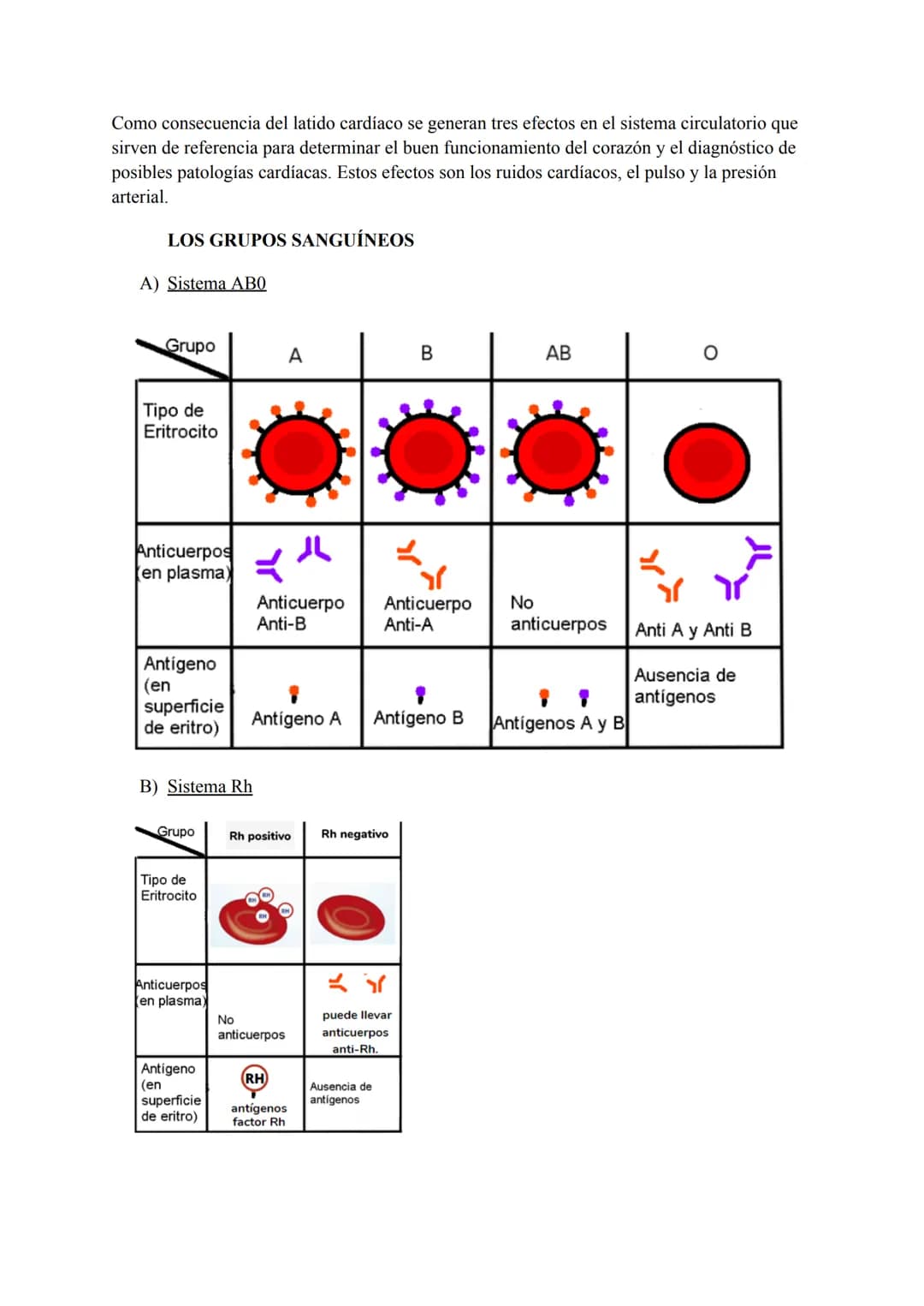 El sistema circulatorio sanguíneo
LA SANGRE
La sangre es un tejido conectivo líquido de color rojo que circula por el interior de los vasos
