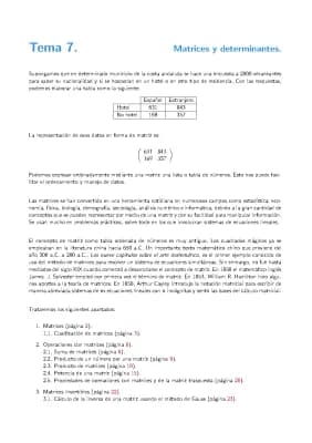 Know Matrices y determinantes thumbnail