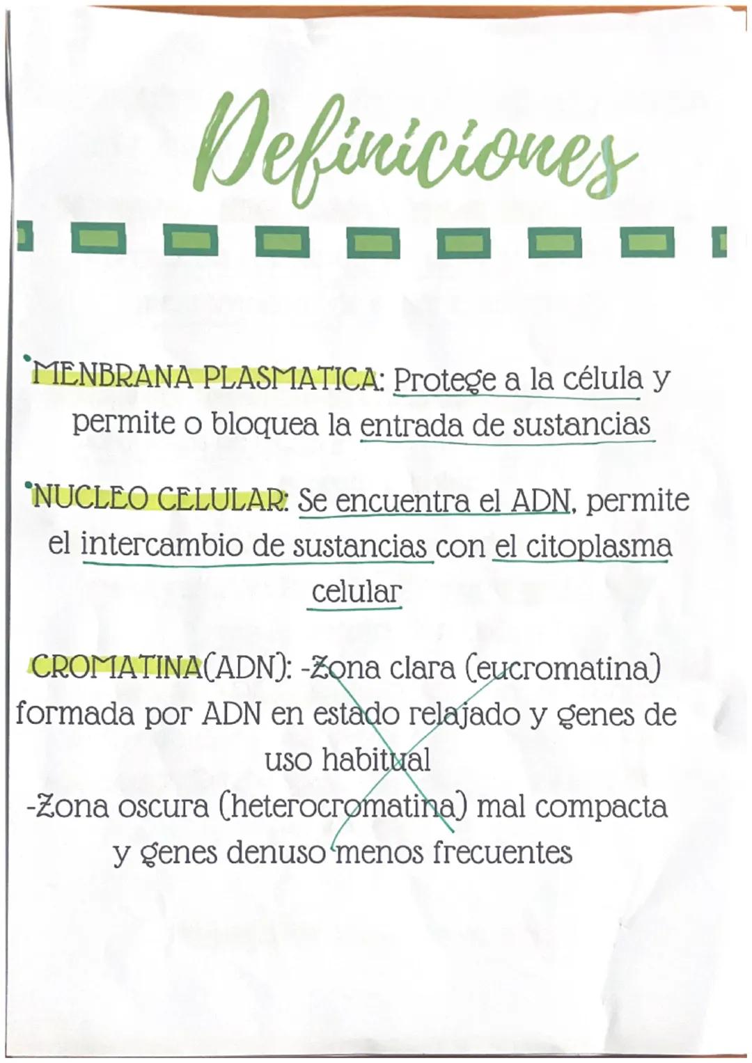 Definiciones
MENBRANA PLASMATICA: Protege a la célula y
permite o bloquea la entrada de sustancias
NUCLEO CELULAR: Se encuentra el ADN, perm