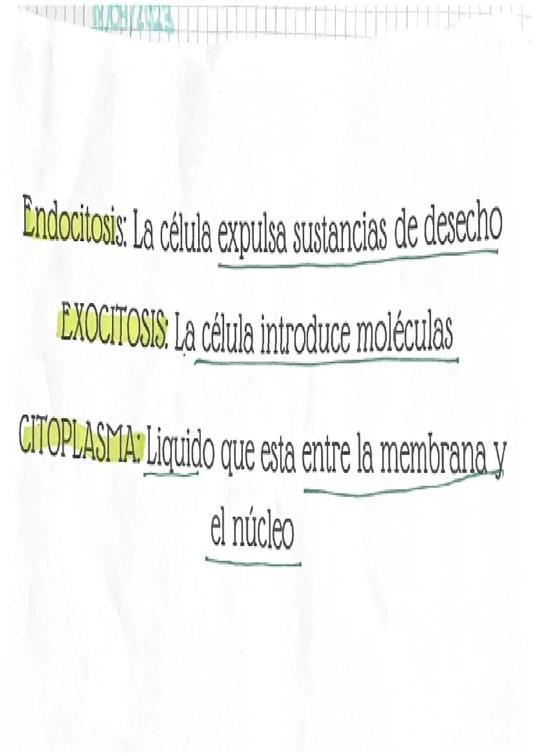 Definiciones
MENBRANA PLASMATICA: Protege a la célula y
permite o bloquea la entrada de sustancias
NUCLEO CELULAR: Se encuentra el ADN, perm