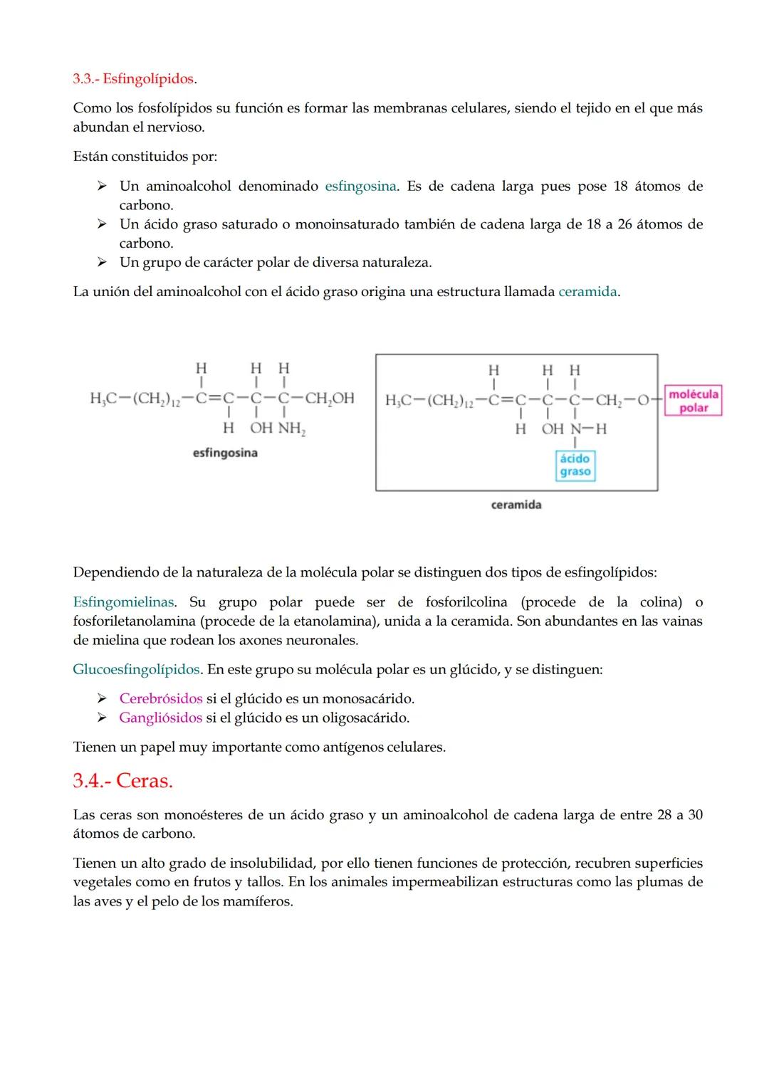 1.- Características generales y clasificación.
2.- Ácidos grasos.
3.- Lípidos saponificables.
4.- Lípidos insaponificables.
1.- Característi