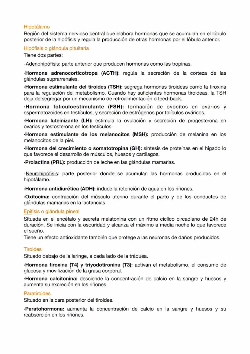 EXAMEN ANATOMÍA 5
Las hormonas son elaboradas por glándulas endocrinas y actúan en cantidades
pequeñas sobre varios órganos que generan efec