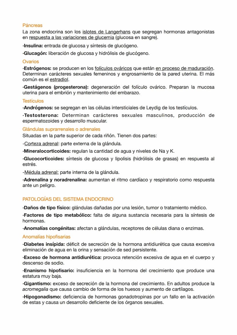 EXAMEN ANATOMÍA 5
Las hormonas son elaboradas por glándulas endocrinas y actúan en cantidades
pequeñas sobre varios órganos que generan efec