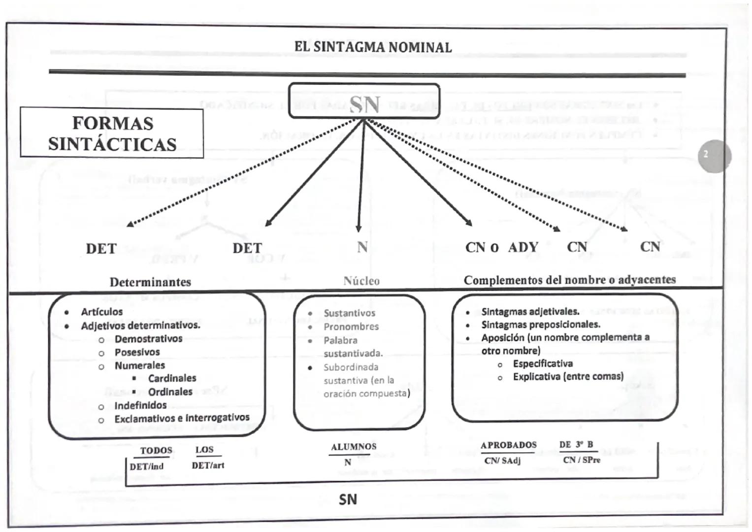 ● Los SINTAGMAS SON GRUPOS DE PALABRAS RELACIONADAS POR EL SIGNIFICADO.
● RECIBEN EL NOMBRE DE SU PALABRA NÚCLEO.
• CUMPLEN FUNCIONES DISTIN