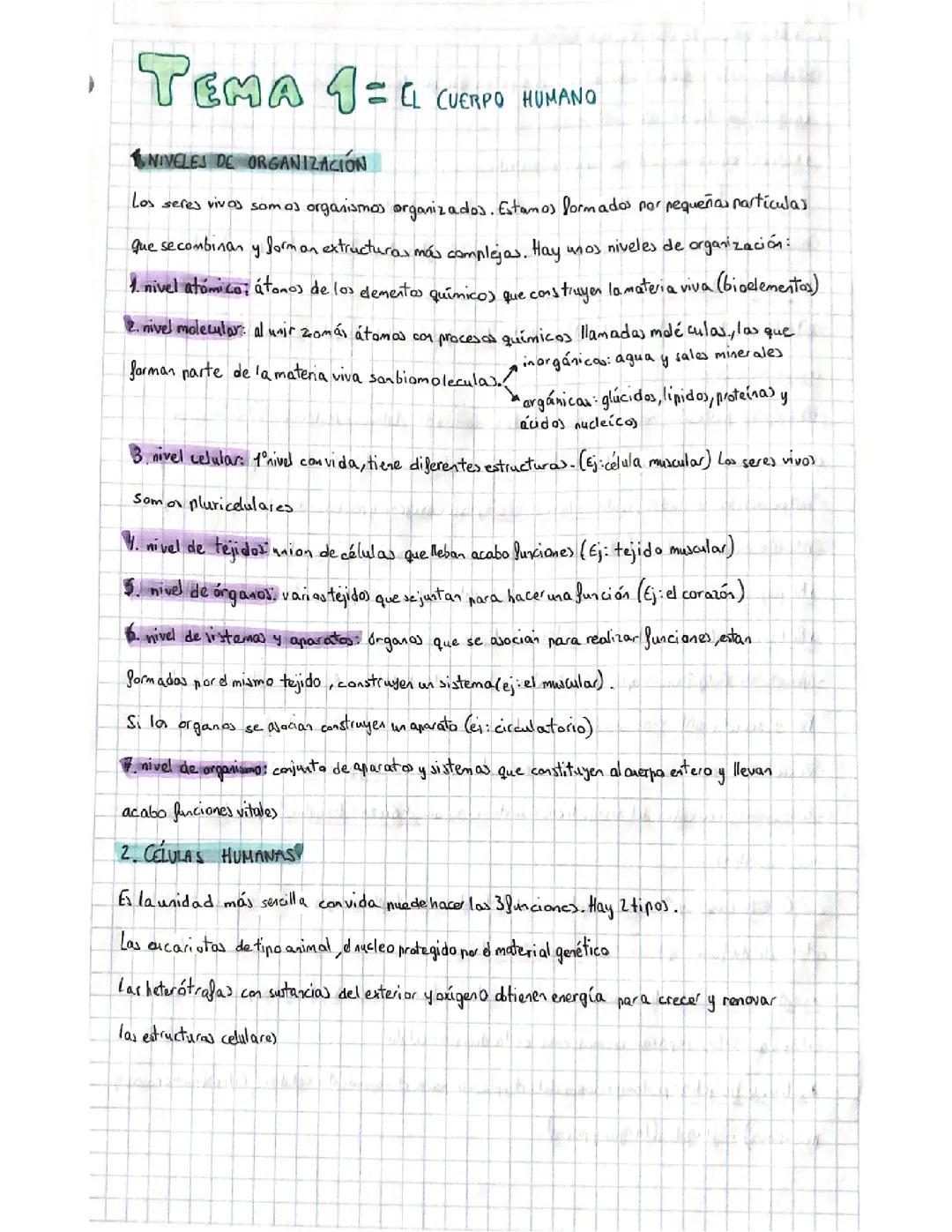 tema 1 cuerpo humano 