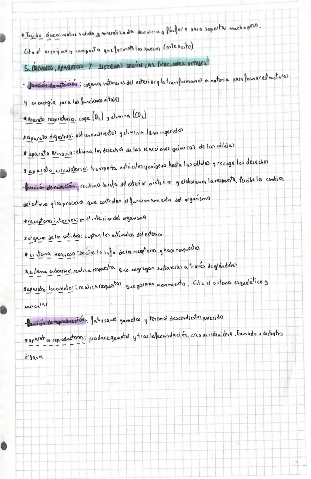 TEMA 1 = 4 CUERPO
HUMANO
NIVELES DE ORGANIZACIÓN
Los seres vivos somos organismos organizados. Estamos formados por pequeñas partículas
que 