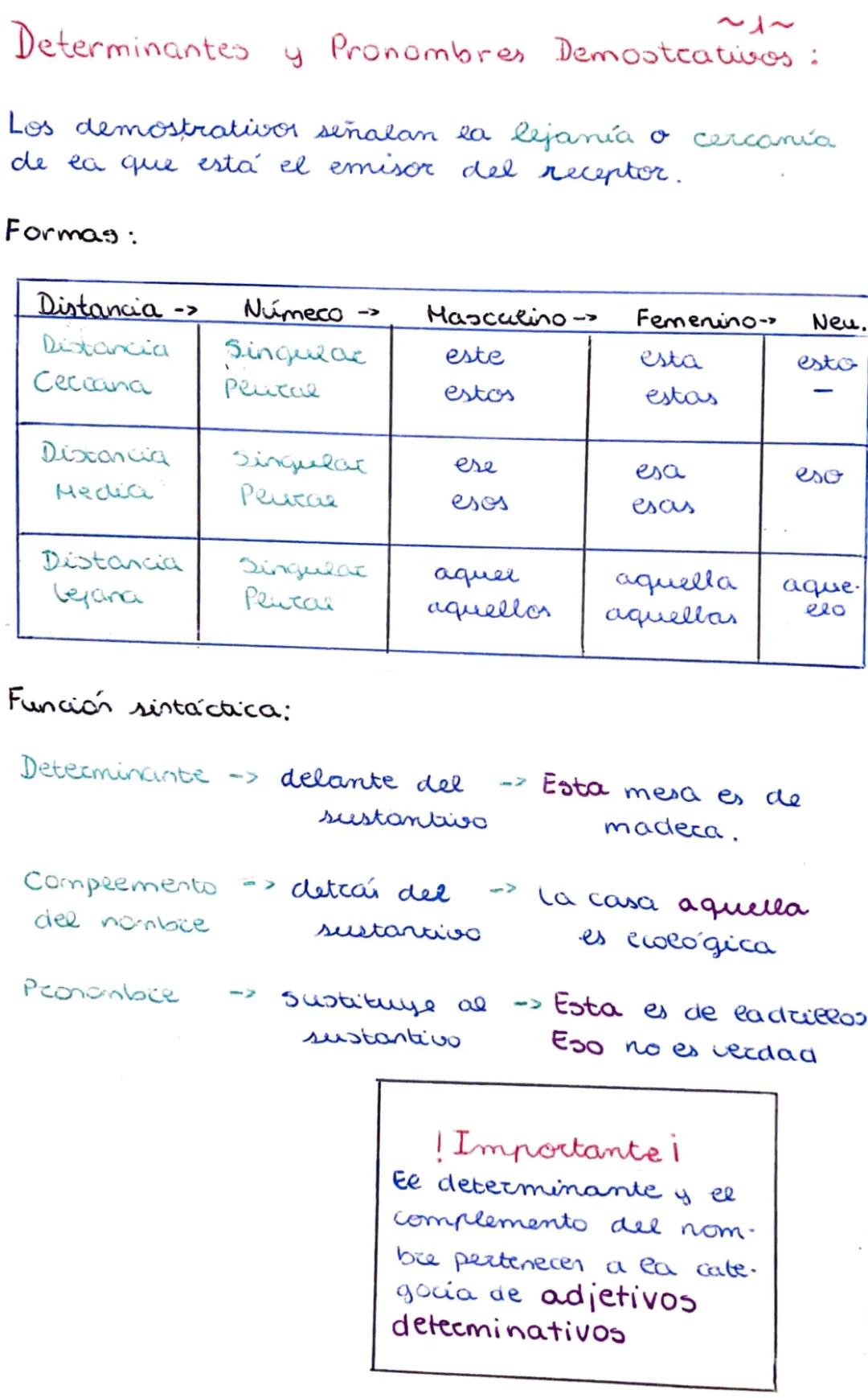 Determinantes y pronombres