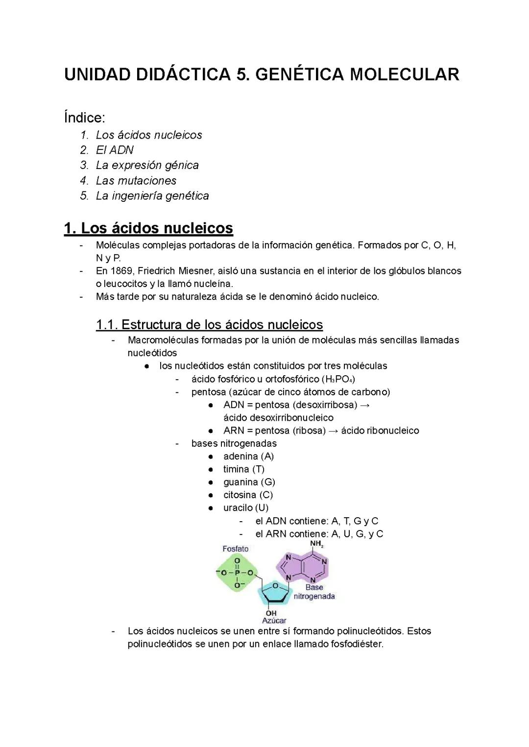 Descubre los Ácidos Nucleicos: Estructura, Tipos y Ejemplos de ADN y ARN