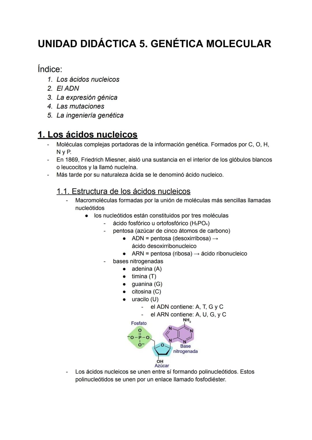 UNIDAD DIDÁCTICA 5. GENÉTICA MOLECULAR
Índice:
1. Los ácidos nucleicos
2. El ADN
3. La expresión génica
4. Las mutaciones
5. La ingeniería g