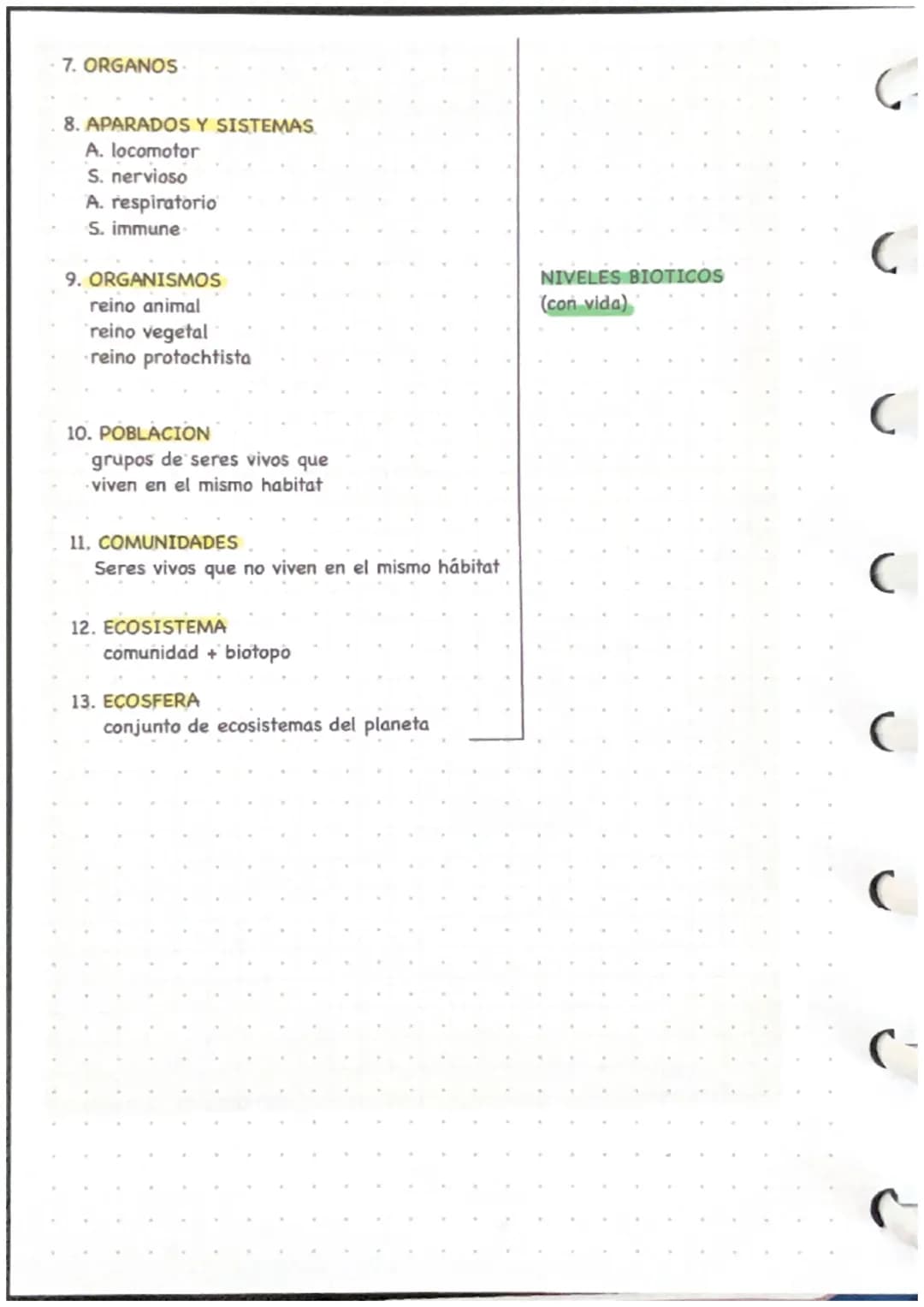 NIVELES DE ORGANIZACION
Se definen niveles de organización como cada uno de los grados de complejidad en lo que
se organiza la materia
1. PA