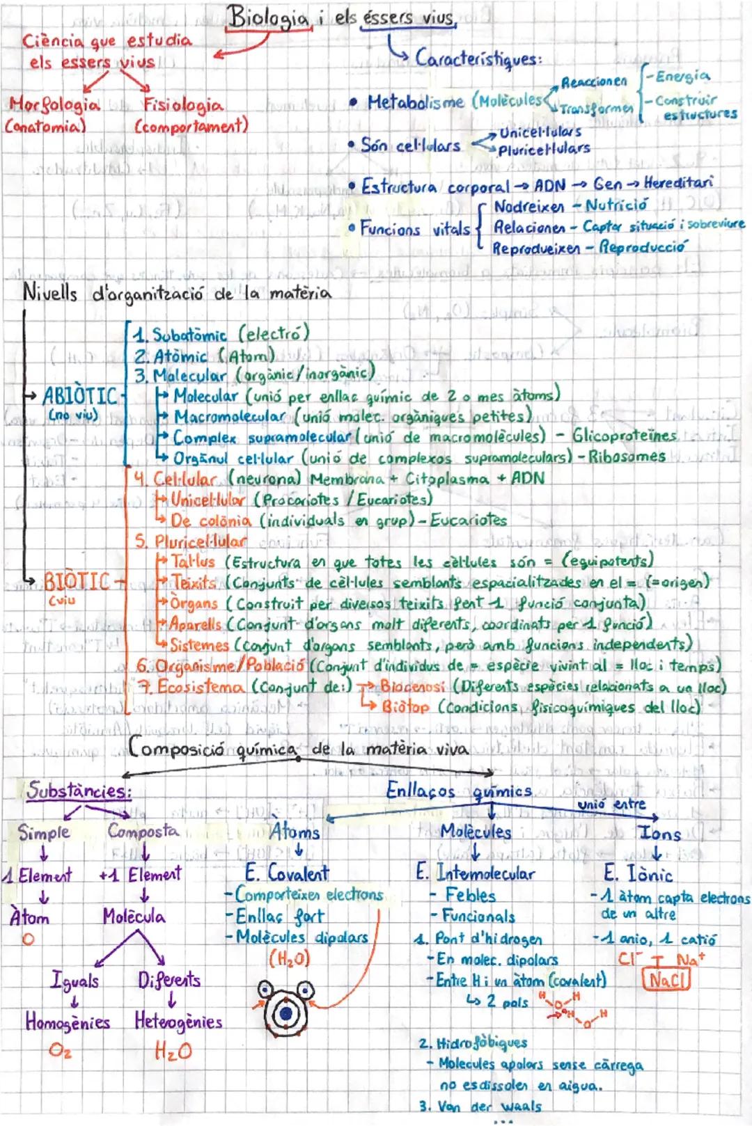 # Biologia i els éssers vius,

Ciència que estudia
els essers vius

Característiques:

Reaccionen
-Energia
Morfologia
Canatomia)
Fisiologia
