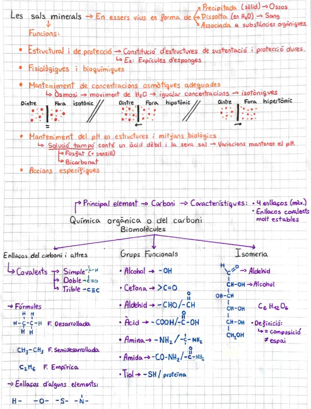 # Biologia i els éssers vius,

Ciència que estudia
els essers vius

Característiques:

Reaccionen
-Energia
Morfologia
Canatomia)
Fisiologia
