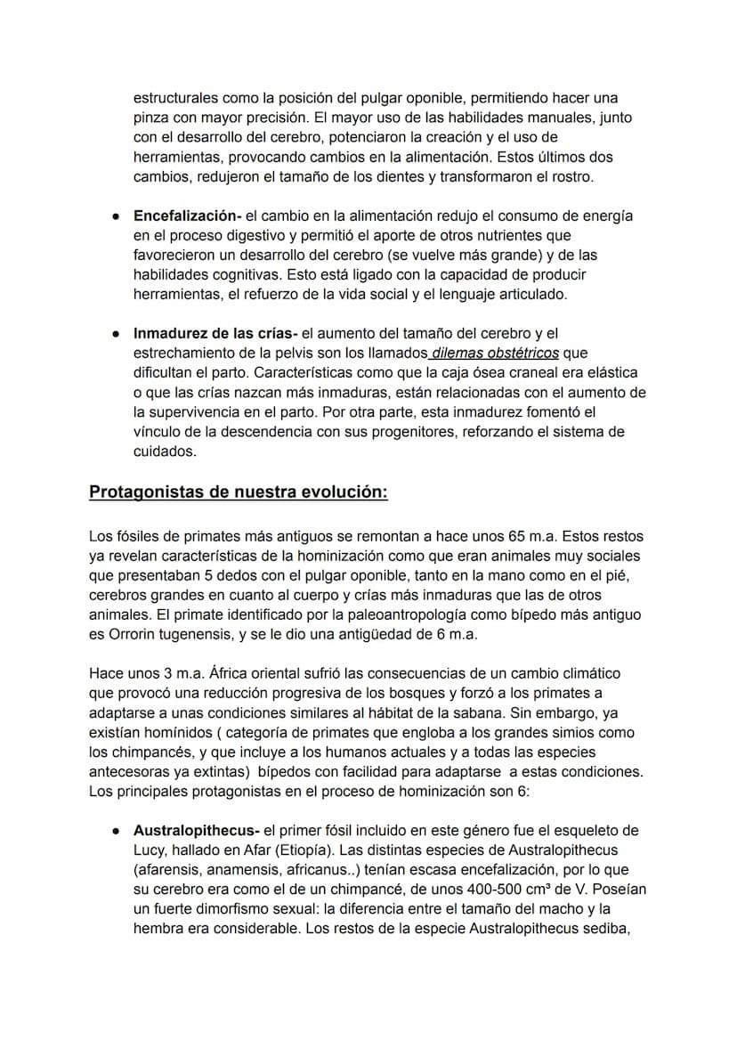 T6 NATURALEZA Y CULTURA
La antropología:
Una de las dudas que ha sacudido siempre a la filosofía es si todos somos el mismo
ser humano, y en