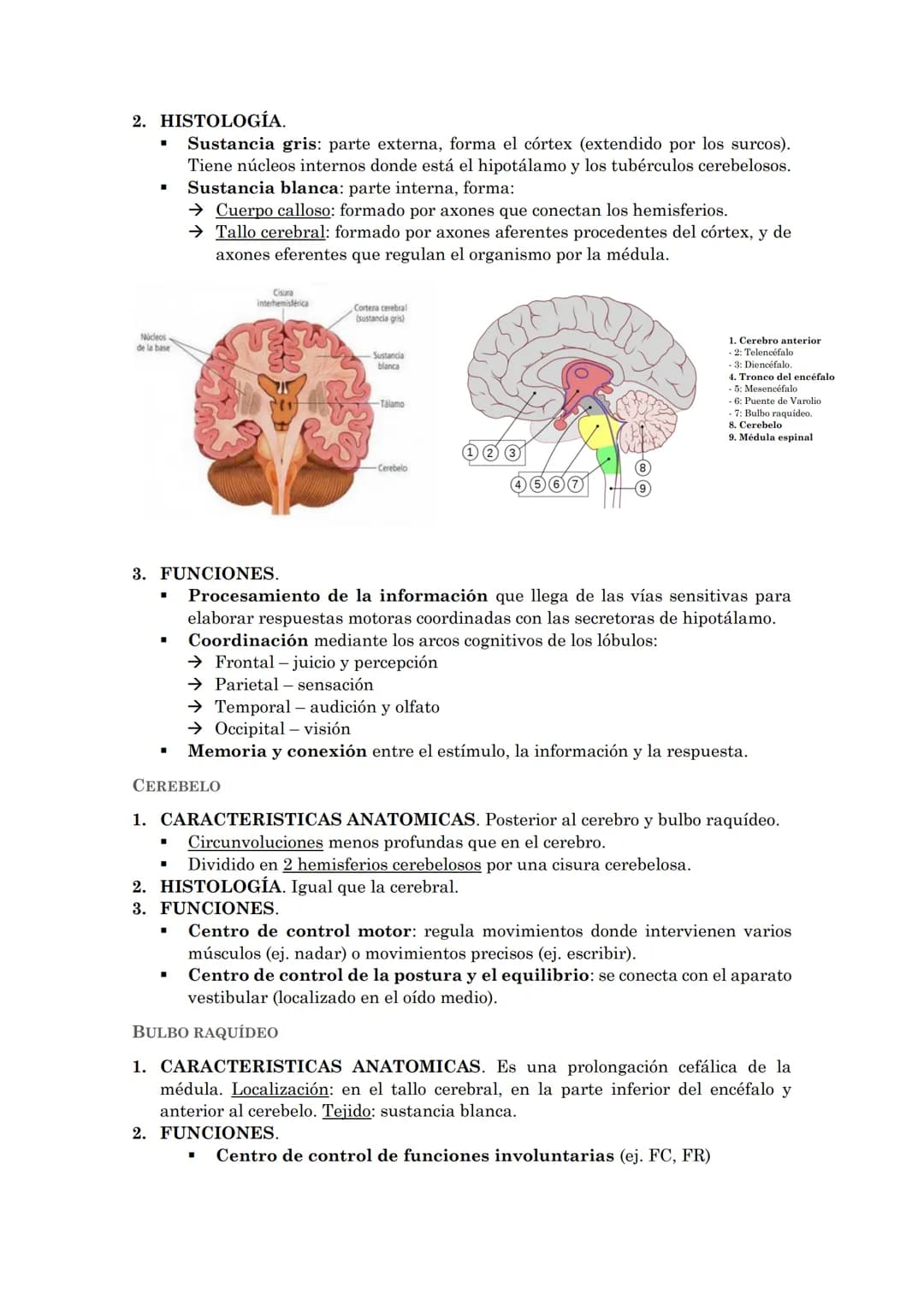 La coordinación
La coordinación es la selección y procesado de la información que recibimos del
medio externo e interno que permite la adapt