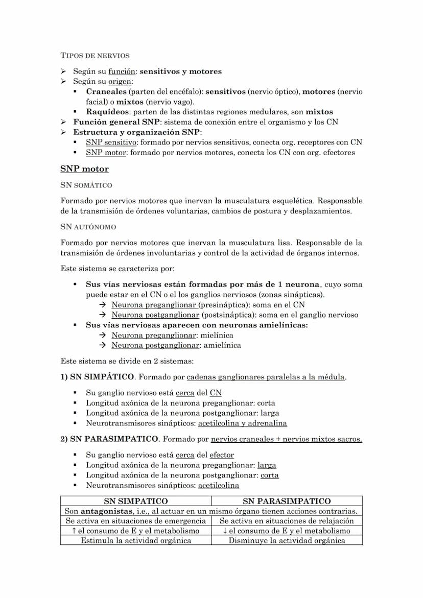 La coordinación
La coordinación es la selección y procesado de la información que recibimos del
medio externo e interno que permite la adapt