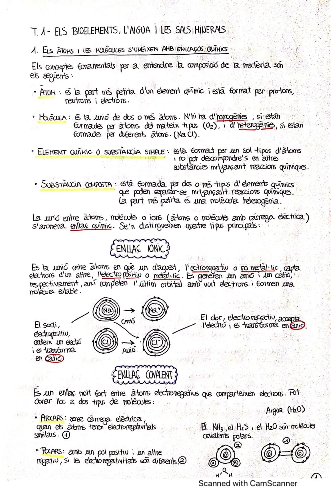 Tema 1 Biología — Els bioelements, l’aigua i les sals minerals. (apuntes en valenciano)