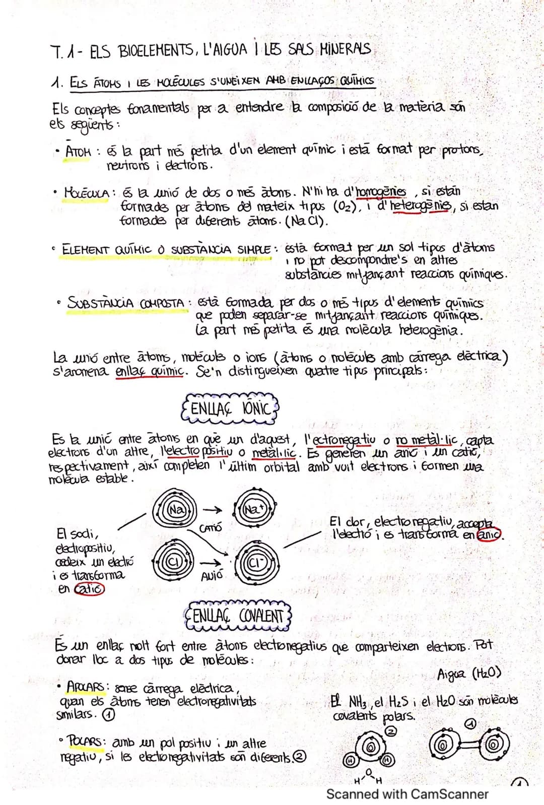 T.A- ELS BIOELEMENTS, L'AIGUA I LES SALS MINERALS
1. ELS ATOMS I LES MOLECULES S'UNEIXEN AMB ENLLAÇOS QUÍMICS
Els conceptes fonamentals per 