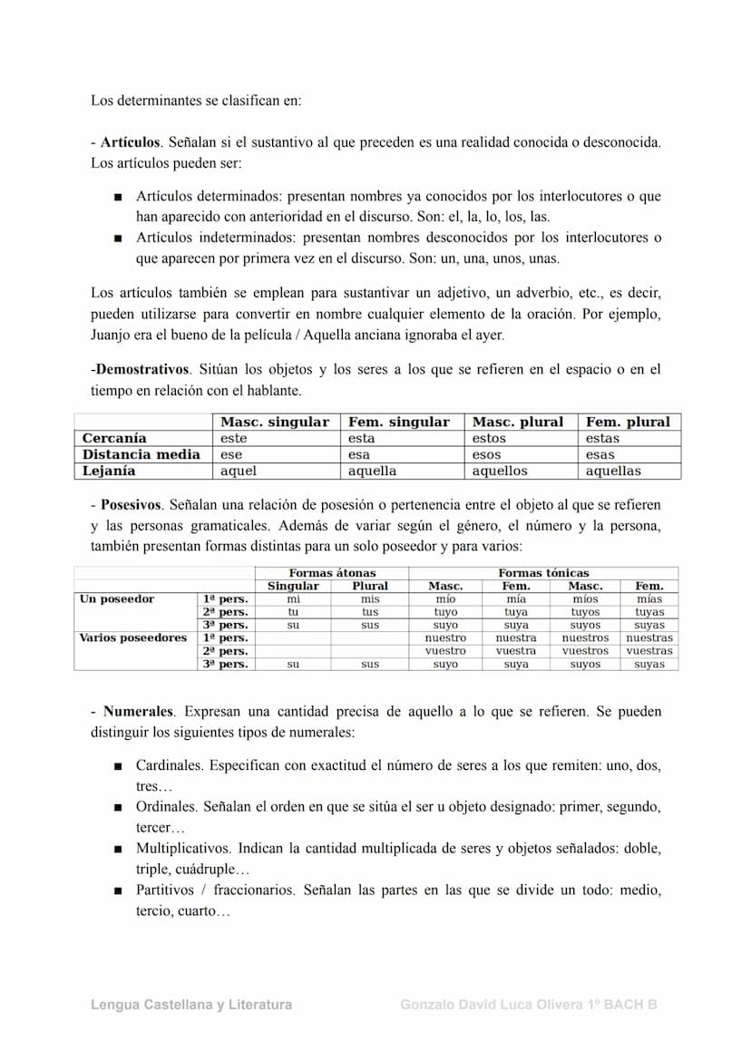 Las categorías gramaticales
1. El Sustantivo
Los sustantivos (también llamados nombres) son palabras con las que designamos y
clasificamos l