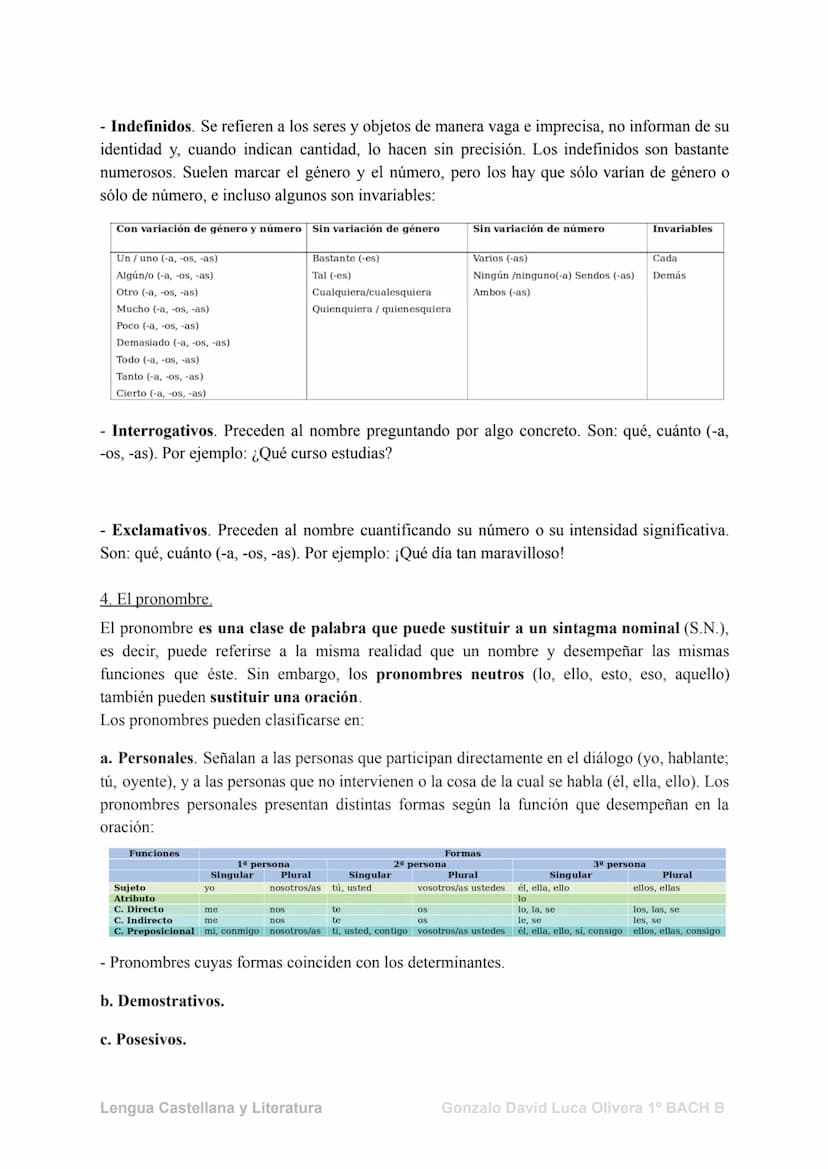 Las categorías gramaticales
1. El Sustantivo
Los sustantivos (también llamados nombres) son palabras con las que designamos y
clasificamos l