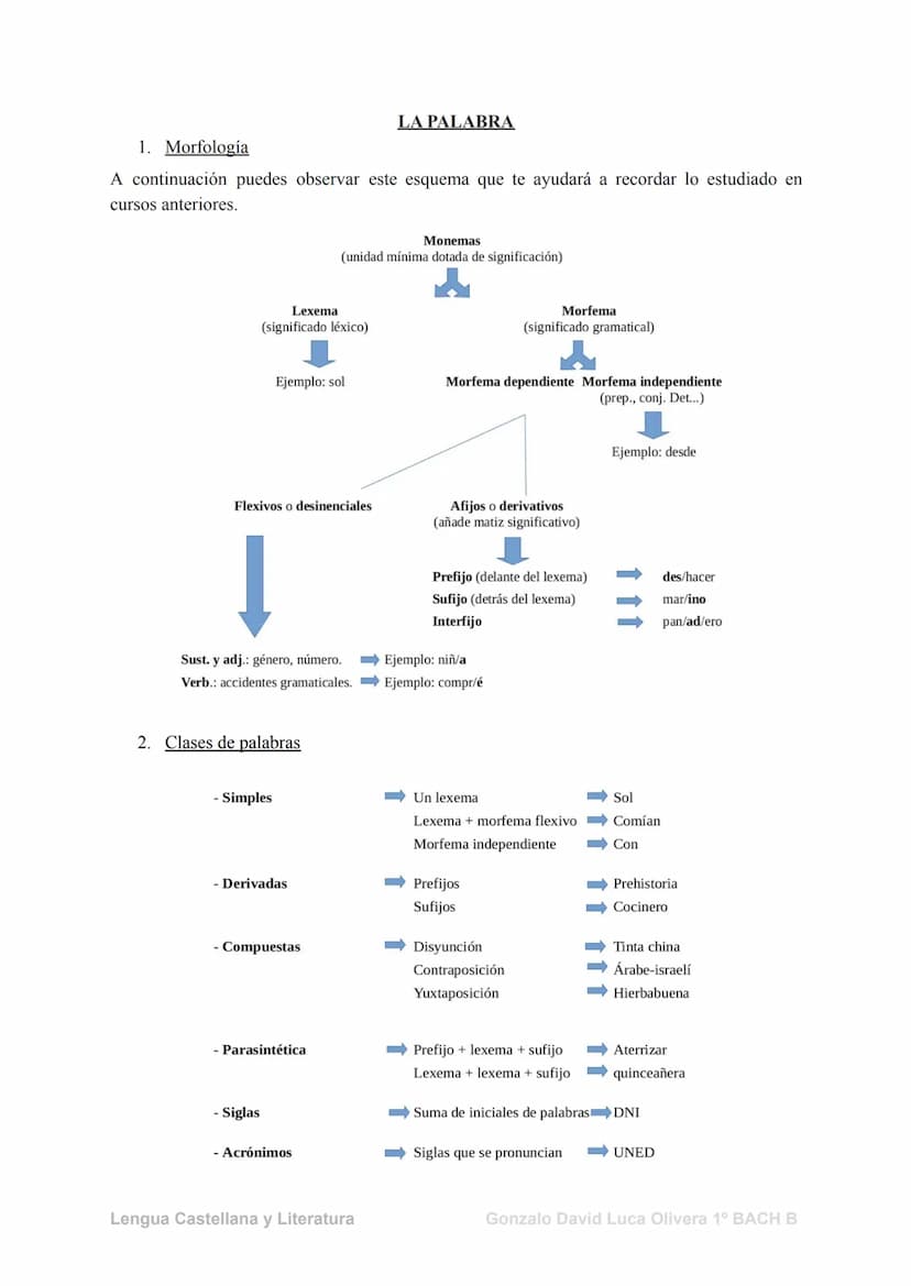 Las categorías gramaticales
1. El Sustantivo
Los sustantivos (también llamados nombres) son palabras con las que designamos y
clasificamos l