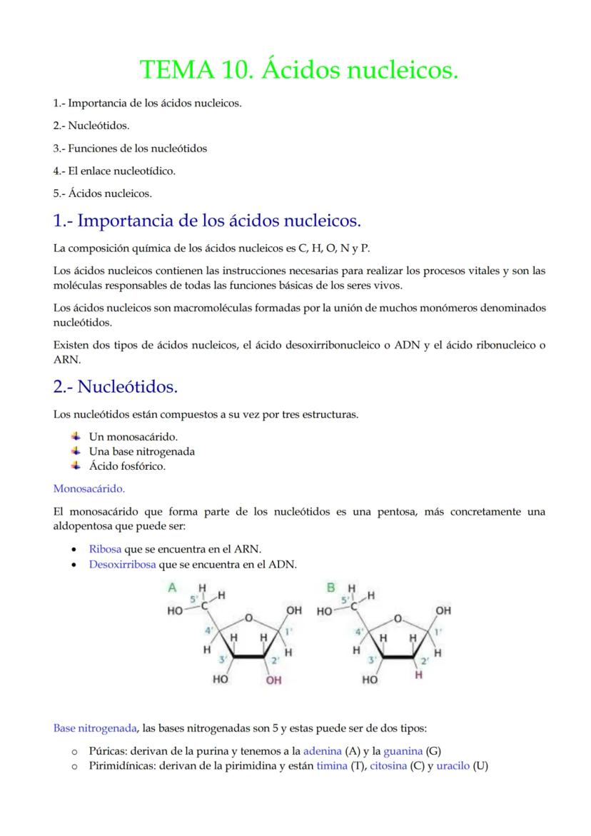 TEMA 10. Ácidos nucleicos.
1.- Importancia de los ácidos nucleicos.
2.- Nucleótidos.
3.- Funciones de los nucleótidos
4.- El enlace nucleotí