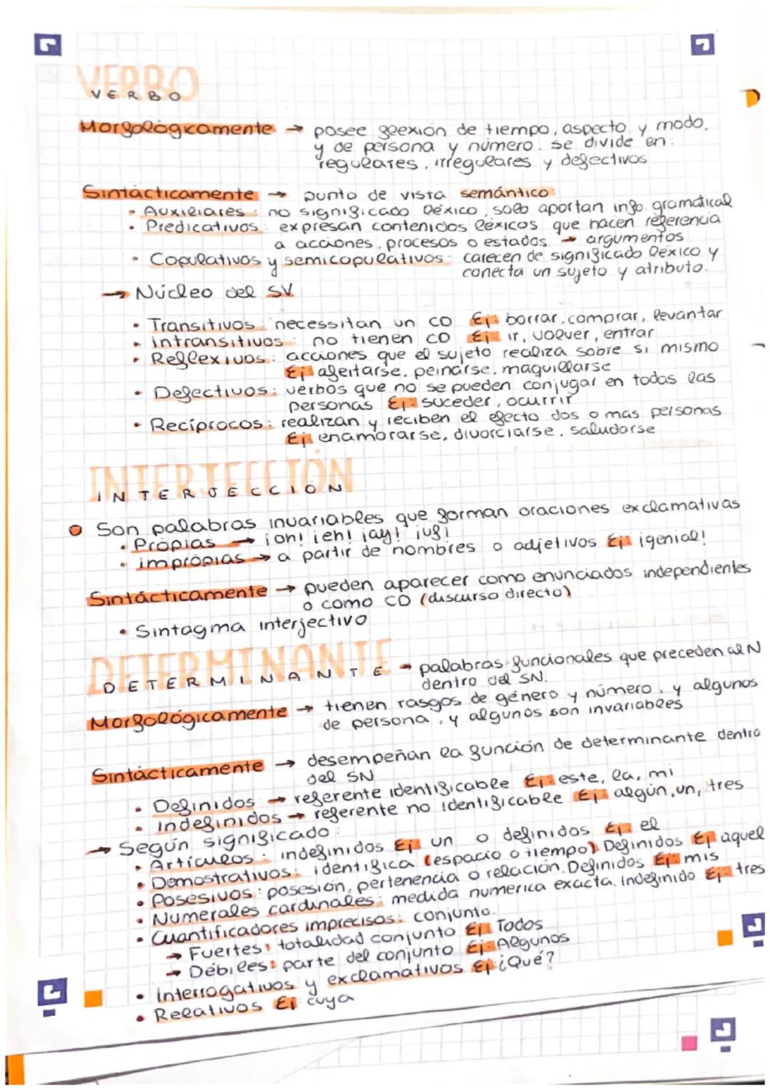 clusiv
D'ARTICULA
Espi
CINCES DE MIDD
CLAJES VETHLADKHJ
SUSTANTIVO
Morfologicamente →variable con glexión de género y numero
Sintácticamente