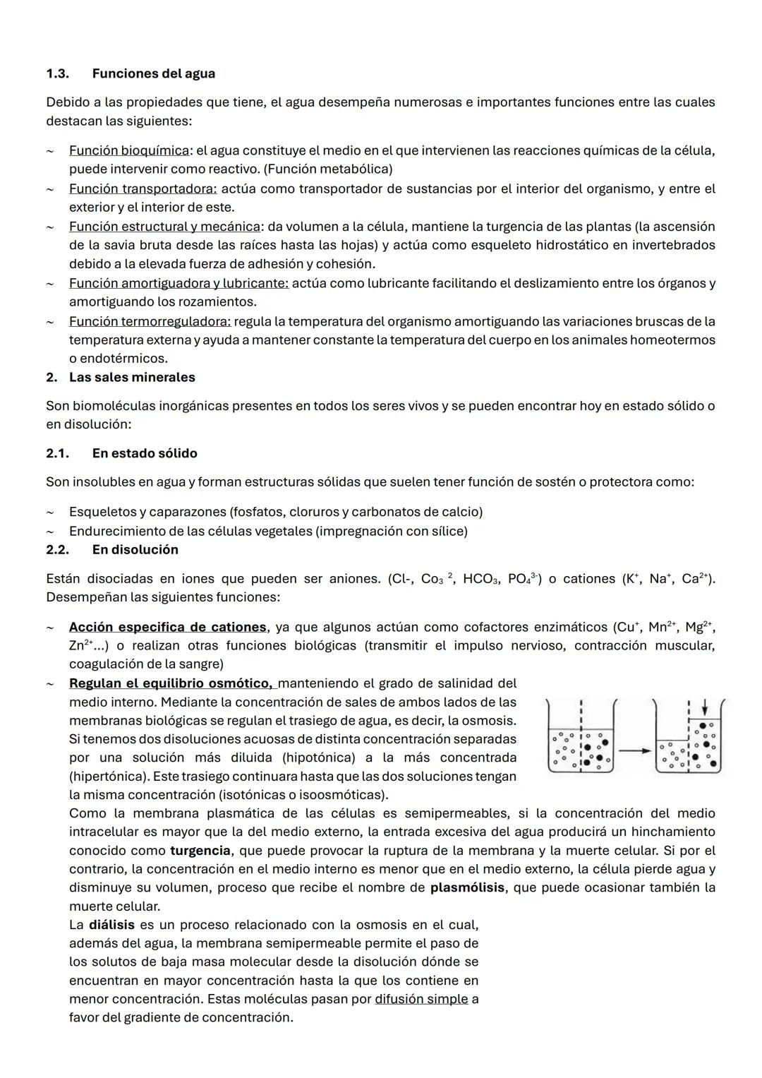Bloque 1. LA BASE MOLECULAR Y FÍSICO-QUÍMICA DE LA VIDA.
UD 1: BIOELEMENTOS. BIOMOLÉCULAS INORGÁNICAS.
Los bioelementos son elementos químic