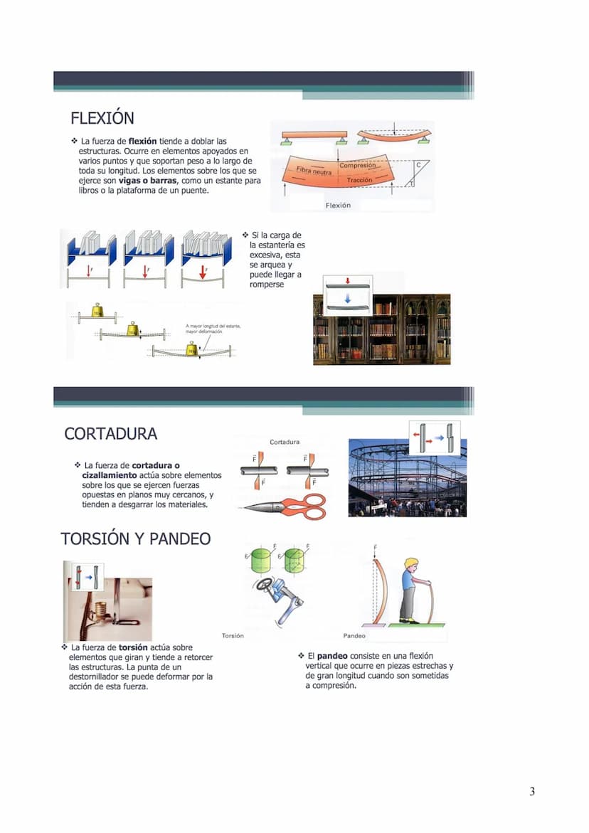 LAS ESTRUCTURAS
Una ESTRUCTURA es el conjunto de elementos de un cuerpo, unidos entre sí,
encargados de soportar las fuerzas que actúan sobr