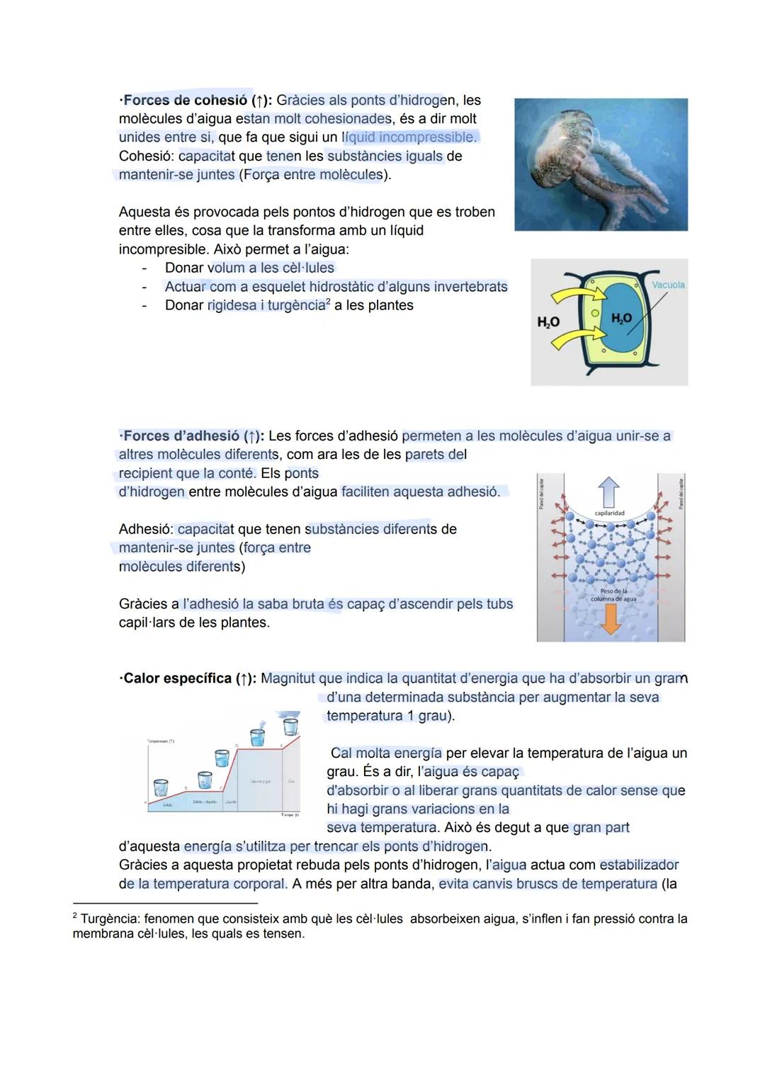 # UD1: BIOELEMENTS, BIOMOLECULES, AIGUA I SALS MINERALS

La matèria viva es composta per dos tipus de matèria:
- Matèria orgànica
- Matèria 