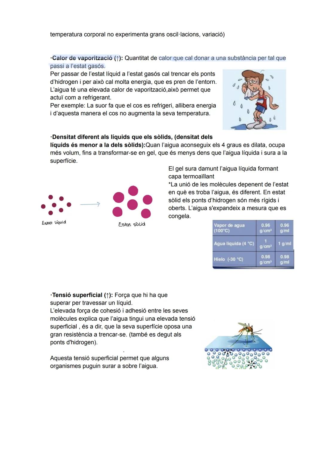 # UD1: BIOELEMENTS, BIOMOLECULES, AIGUA I SALS MINERALS

La matèria viva es composta per dos tipus de matèria:
- Matèria orgànica
- Matèria 