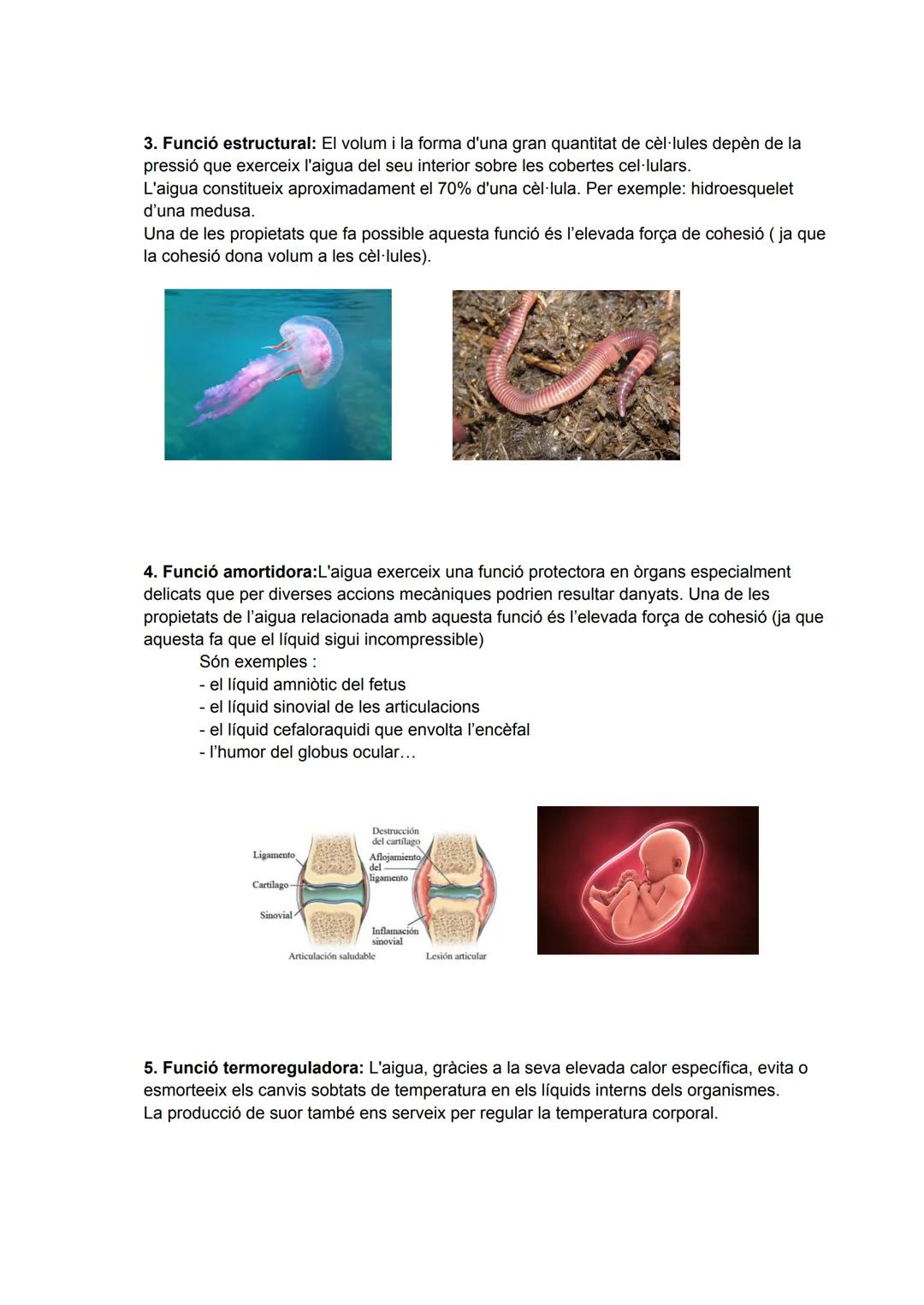 # UD1: BIOELEMENTS, BIOMOLECULES, AIGUA I SALS MINERALS

La matèria viva es composta per dos tipus de matèria:
- Matèria orgànica
- Matèria 