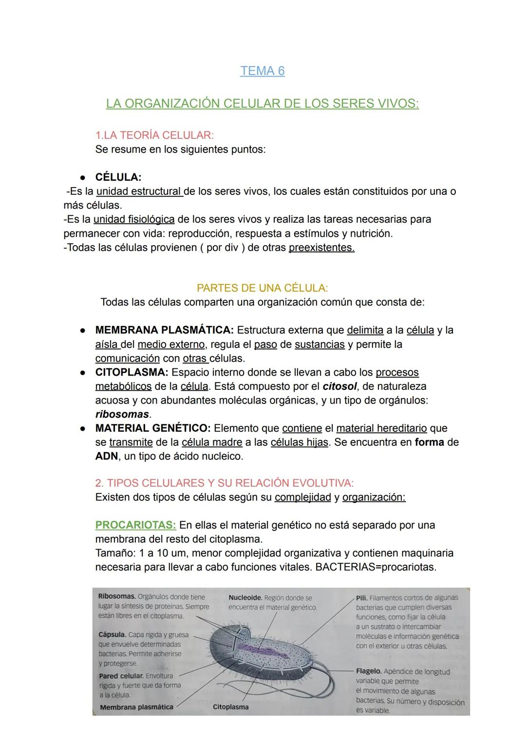 LA ORGANIZACIÓN CELULAR DE LOS SERES VIVOS:
●
1.LA TEORÍA CELULAR:
Se resume en los siguientes puntos:
•
CÉLULA:
-Es la unidad estructural d