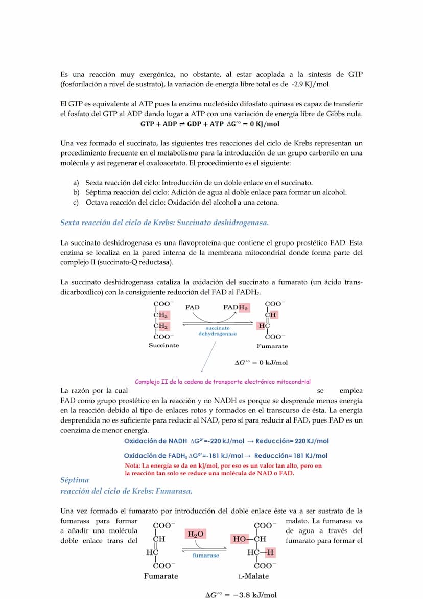 Tema 5: Ciclo de los ácidos tricarboxílicos.
El empleo del piruvato para producir energía (método más rentable energéticamente) requiere
la 