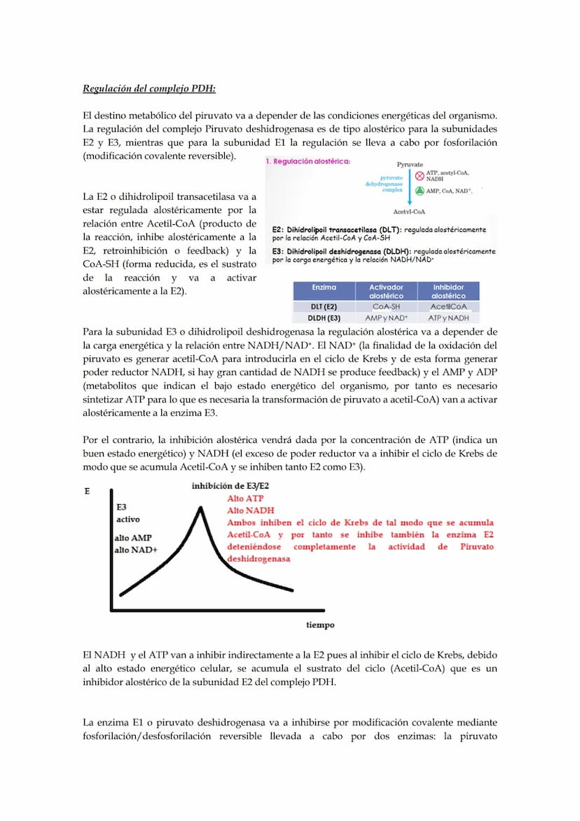 Tema 5: Ciclo de los ácidos tricarboxílicos.
El empleo del piruvato para producir energía (método más rentable energéticamente) requiere
la 