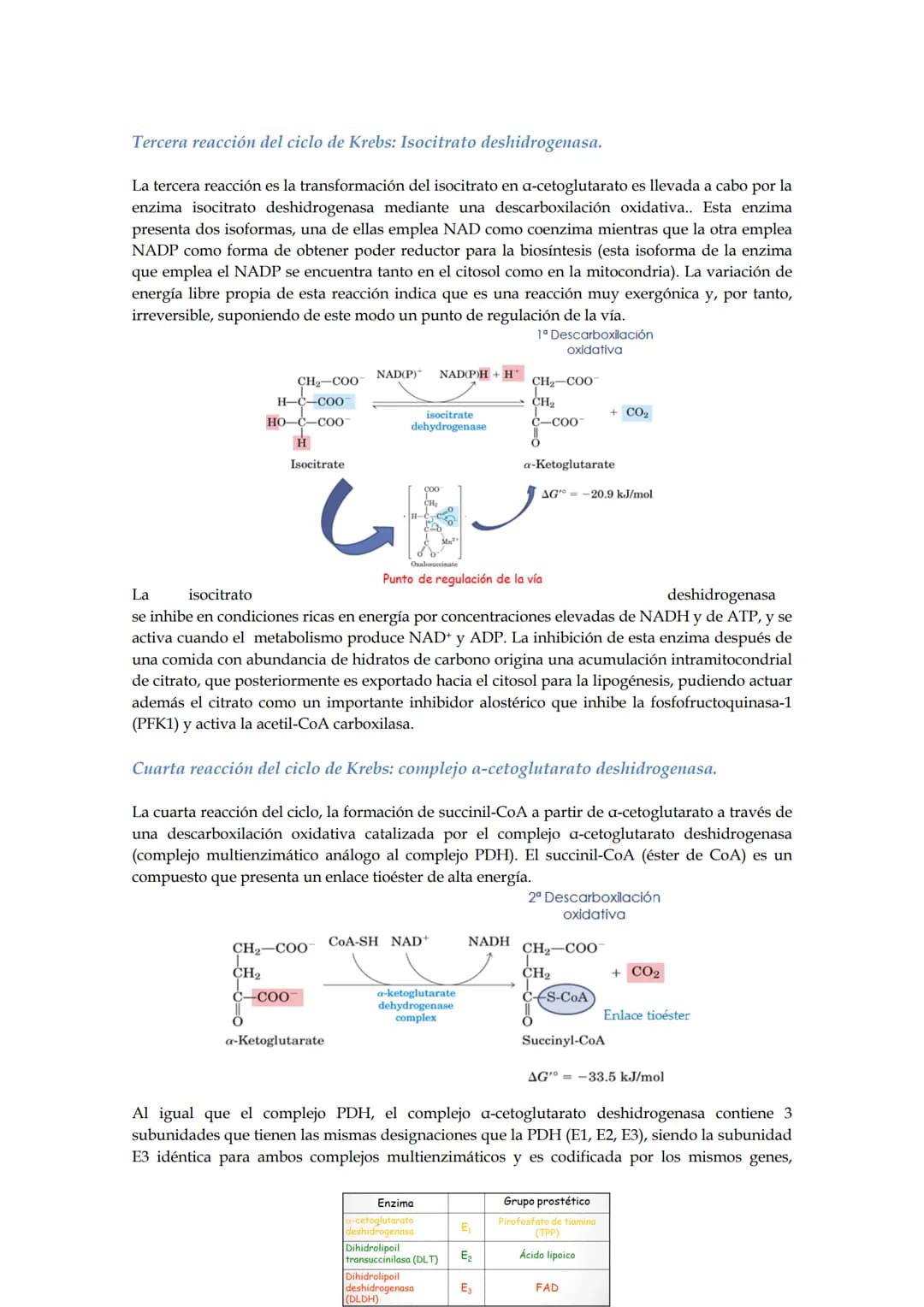 Tema 5: Ciclo de los ácidos tricarboxílicos.
El empleo del piruvato para producir energía (método más rentable energéticamente) requiere
la 
