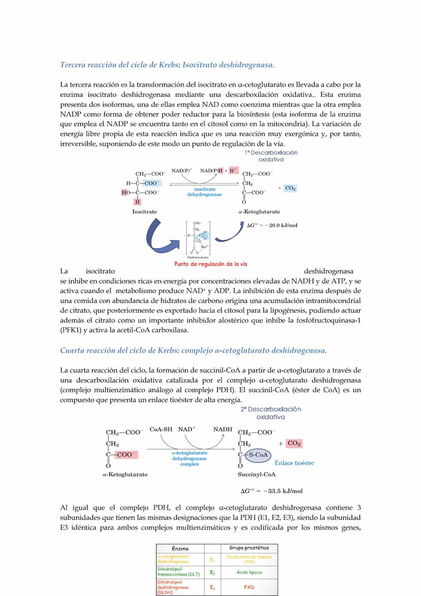Tema 5: Ciclo de los ácidos tricarboxílicos.
El empleo del piruvato para producir energía (método más rentable energéticamente) requiere
la 