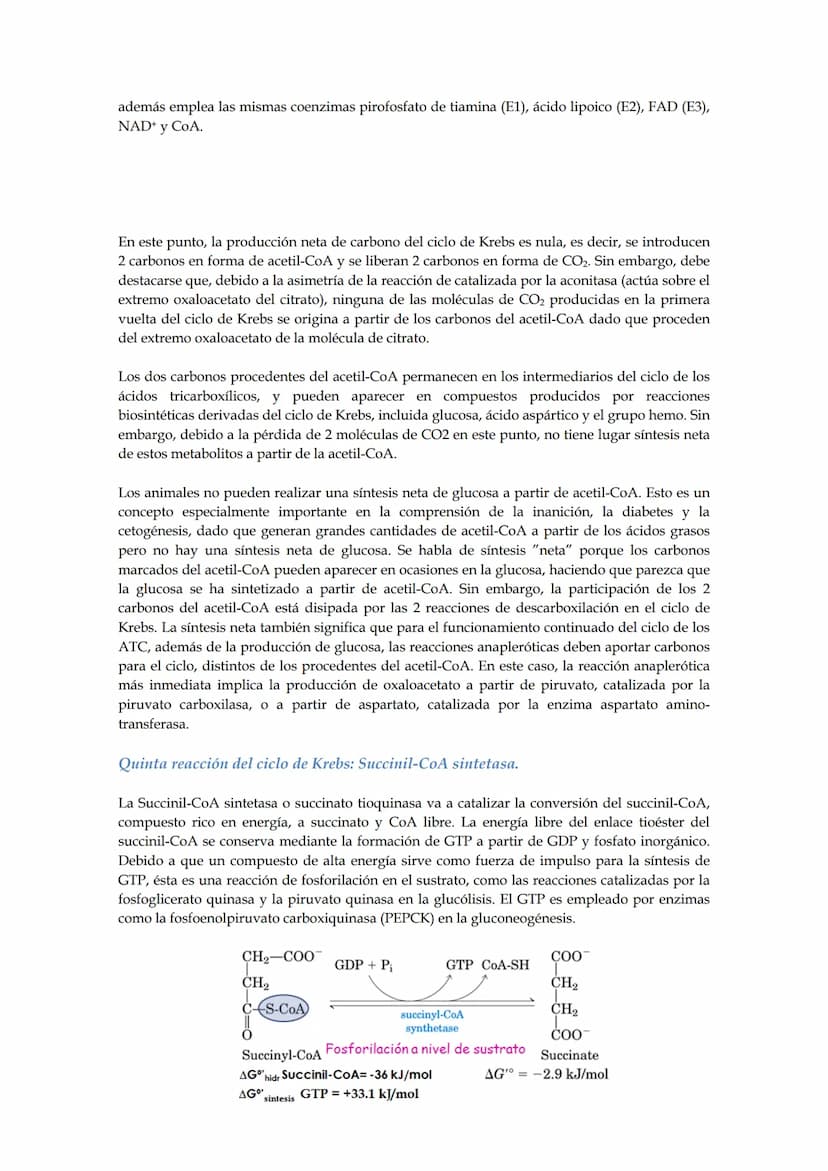 Tema 5: Ciclo de los ácidos tricarboxílicos.
El empleo del piruvato para producir energía (método más rentable energéticamente) requiere
la 