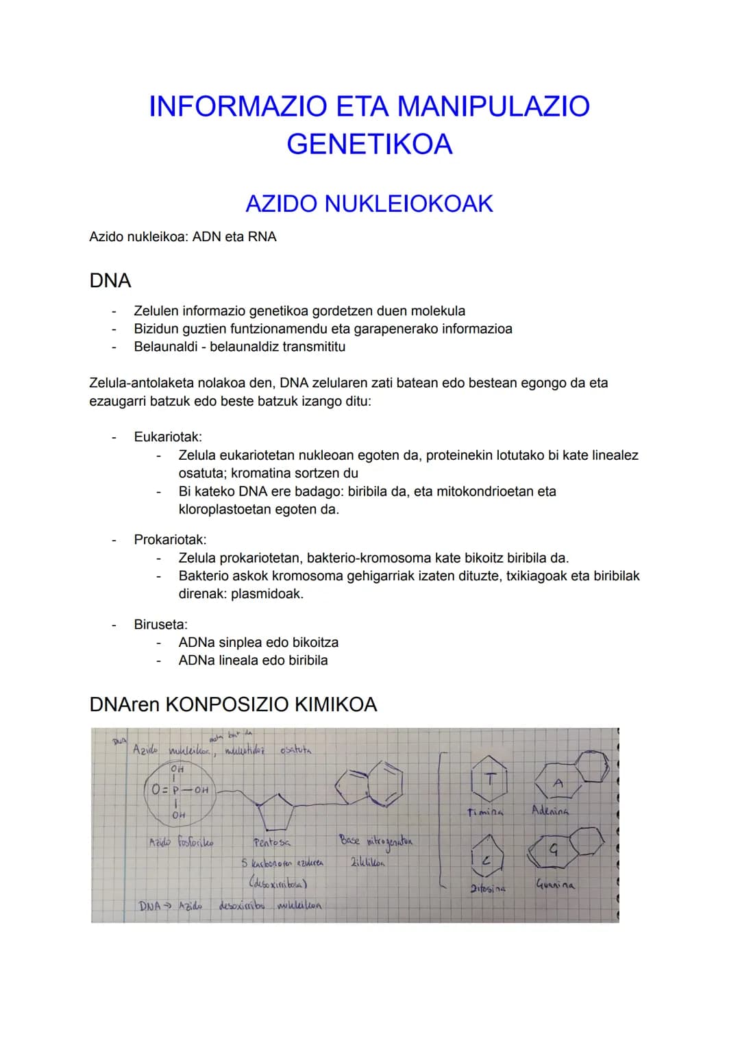 DNA
INFORMAZIO ETA MANIPULAZIO
GENETIKOA
Azido nukleikoa: ADN eta RNA
DUA
Zelulen informazio genetikoa gordetzen duen molekula
Bizidun guzti