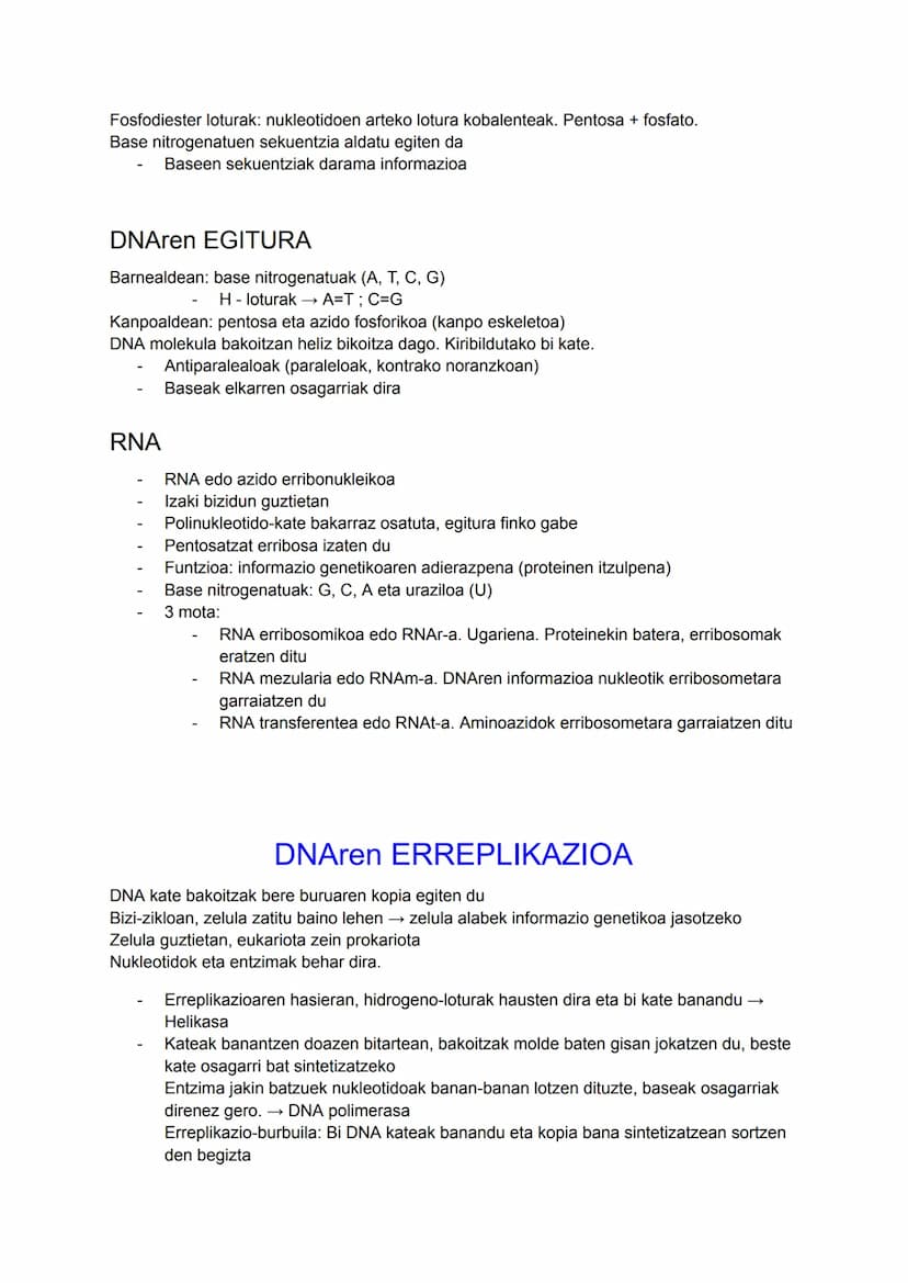 DNA
INFORMAZIO ETA MANIPULAZIO
GENETIKOA
Azido nukleikoa: ADN eta RNA
DUA
Zelulen informazio genetikoa gordetzen duen molekula
Bizidun guzti