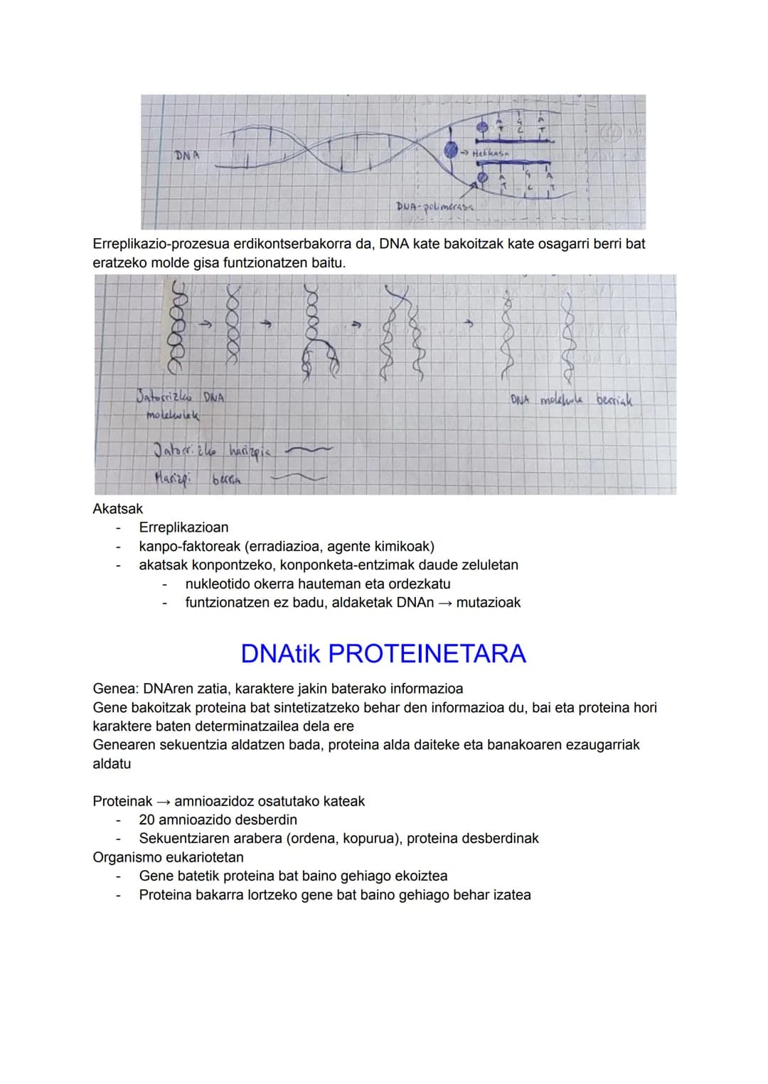 DNA
INFORMAZIO ETA MANIPULAZIO
GENETIKOA
Azido nukleikoa: ADN eta RNA
DUA
Zelulen informazio genetikoa gordetzen duen molekula
Bizidun guzti